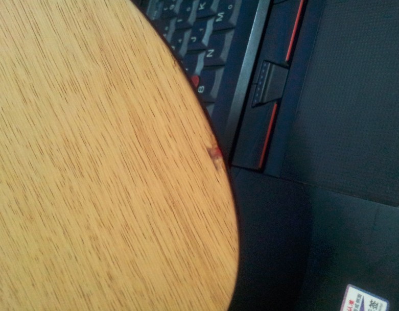 TG825+ˮCL+˳��ĸ�=425Ԫ