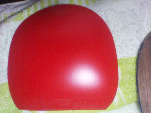 yeo�հ� ������ȫ������320����