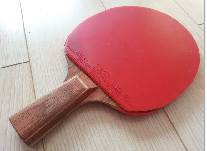 ��֧�����������˹�ٿ�ŷ��õ��5������sriver��QQ49620741