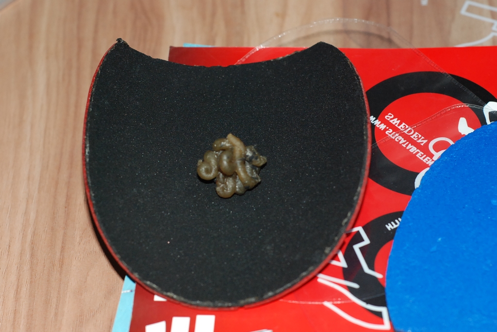 ��һ�� ���� ��¼������