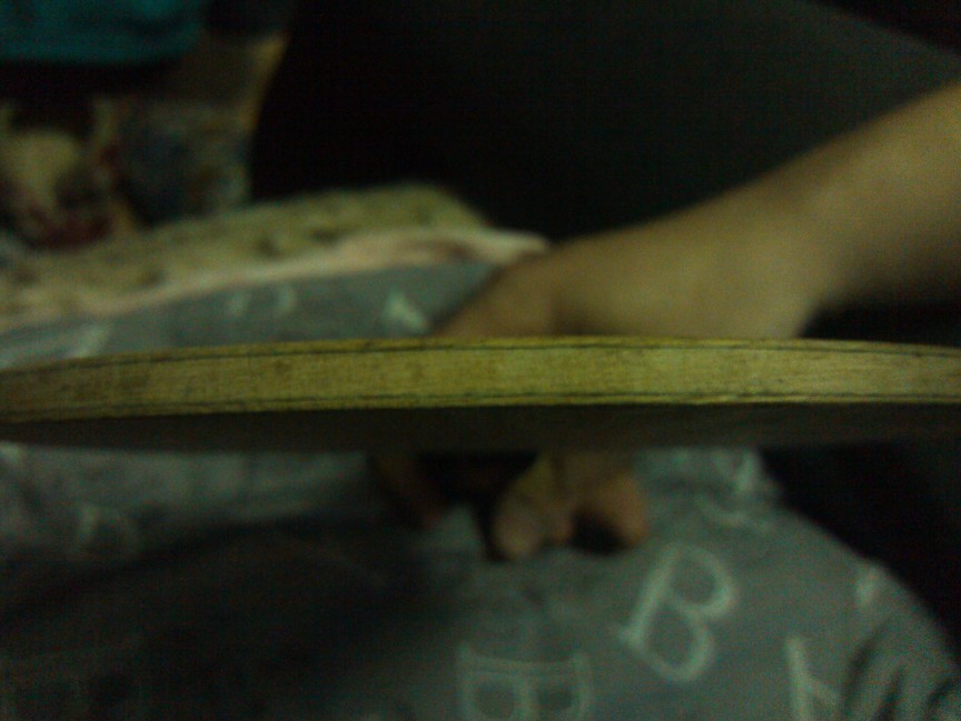 ��FL��DONIC�����������̼ Ʒ���