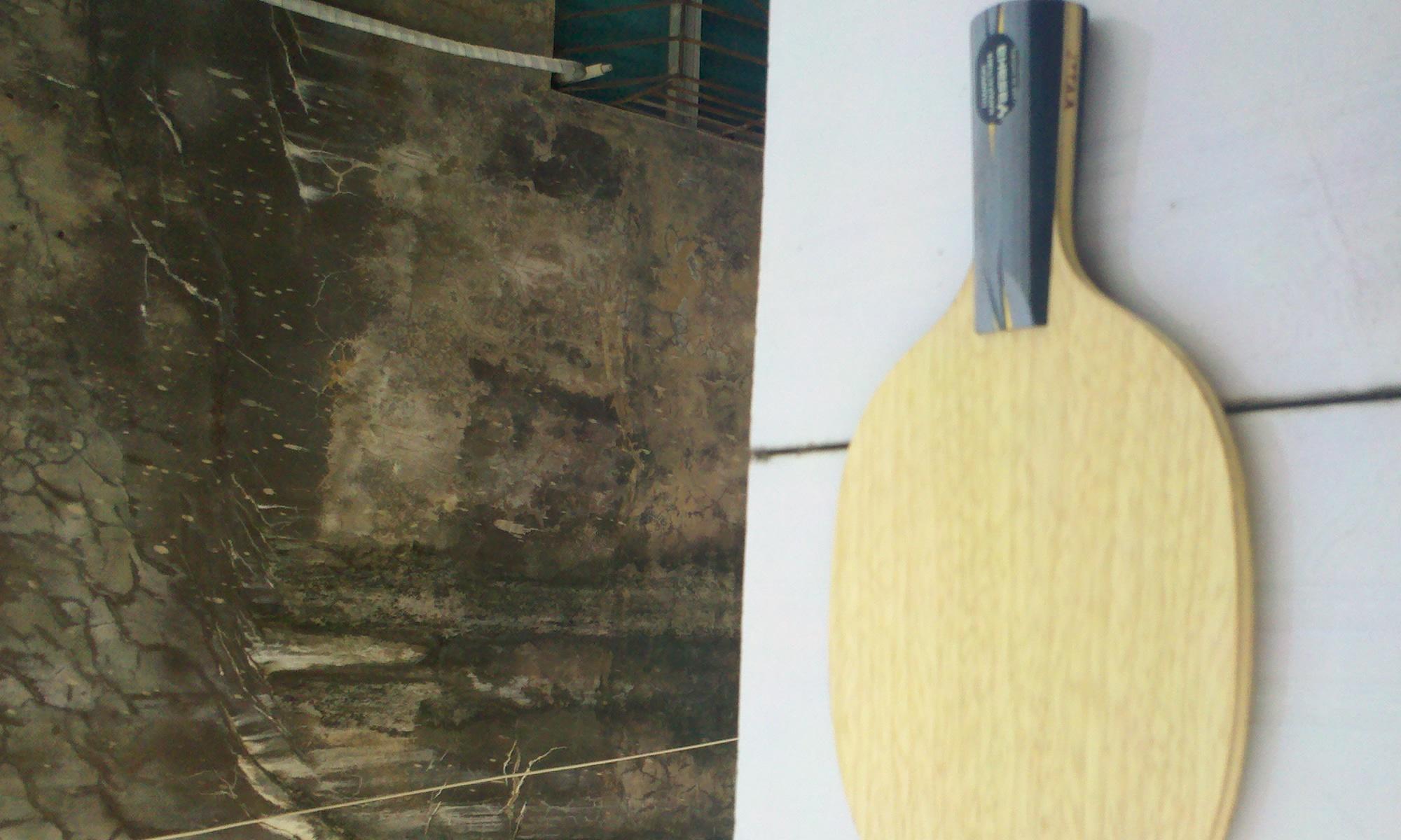 ��99�����л���̼