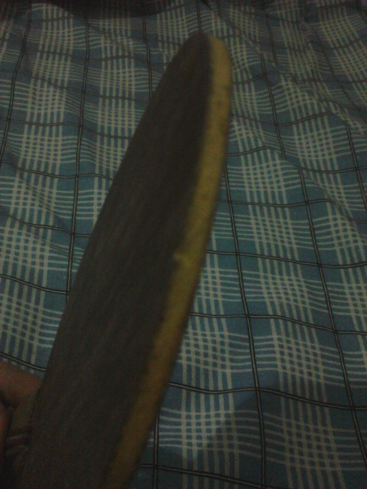 �����AN����ķ̼֩������˹�ٿ���54