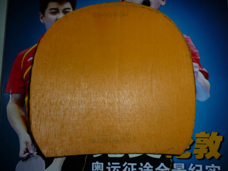 ��ľ�ݰ�õ��5���칭