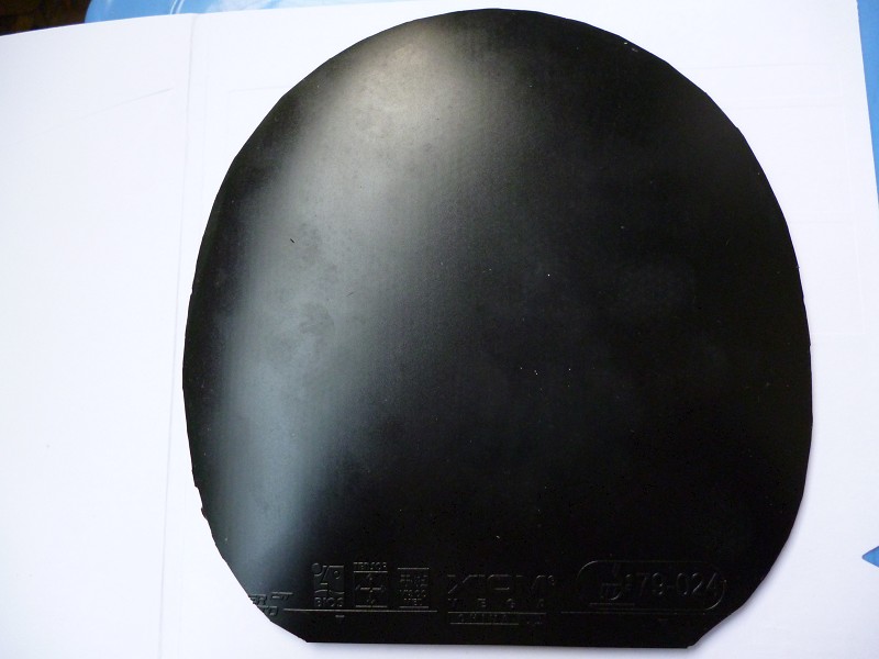 ������E4��������S-1�������S1T��Vega China