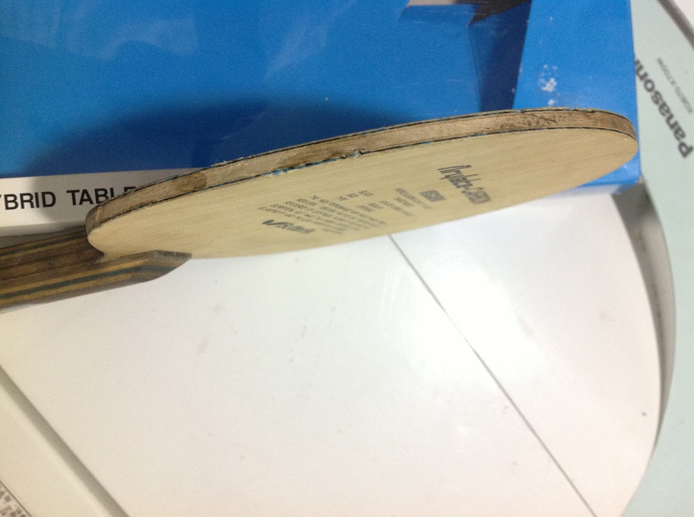 viscaria fl�װ� ������׽�Ƥ