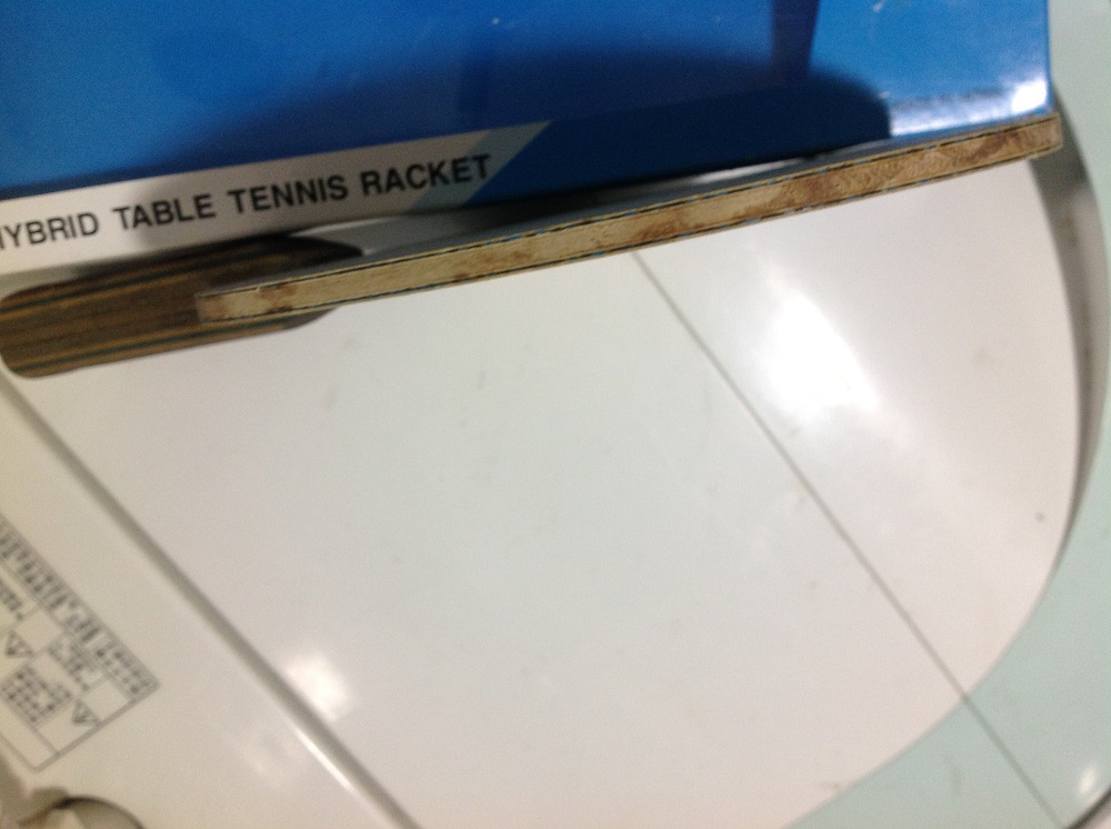 viscaria fl�װ� ������׽�Ƥ