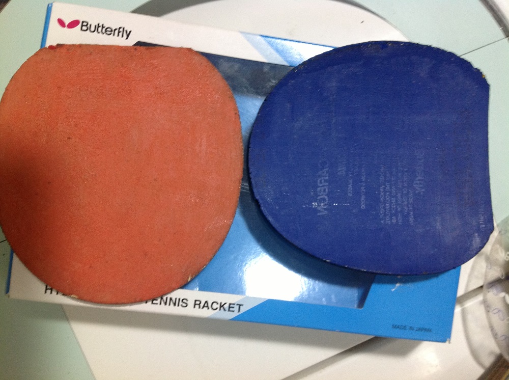 viscaria fl�װ� ������׽�Ƥ