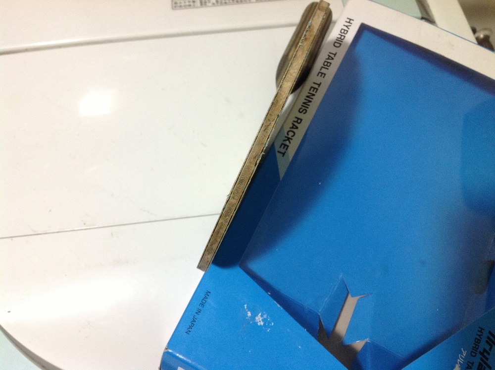 viscaria fl�װ� ������׽�Ƥ