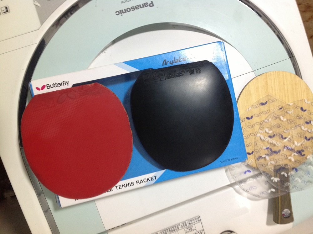 viscaria fl�װ� ������׽�Ƥ