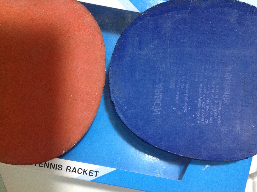 viscaria fl�װ� ������׽�Ƥ