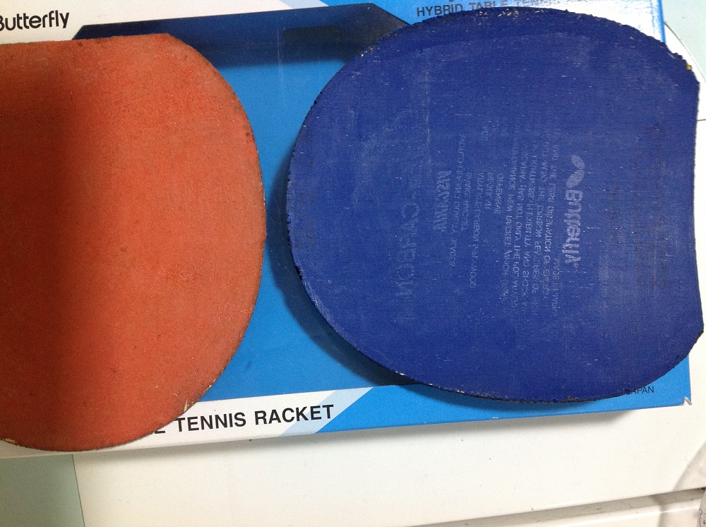 viscaria fl�װ� ������׽�Ƥ