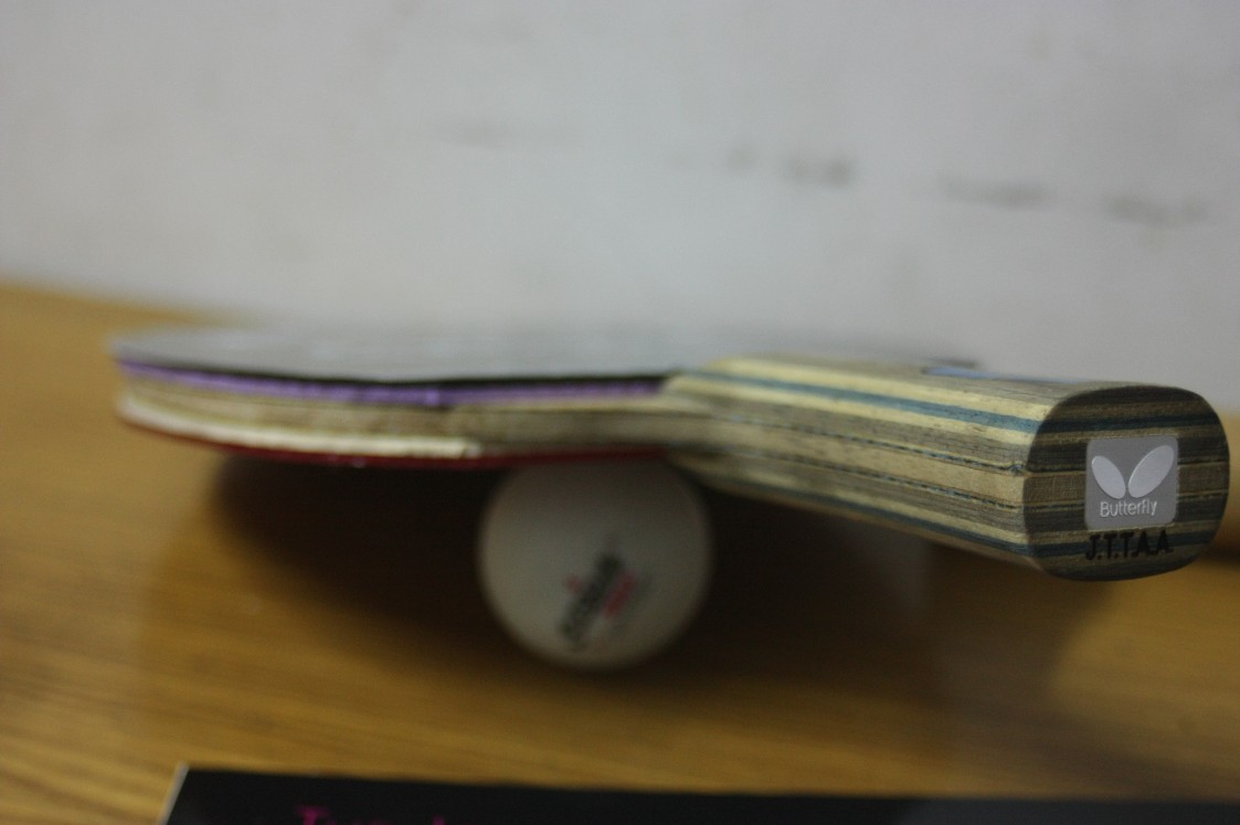 800��˳����л�˫��С������VIS