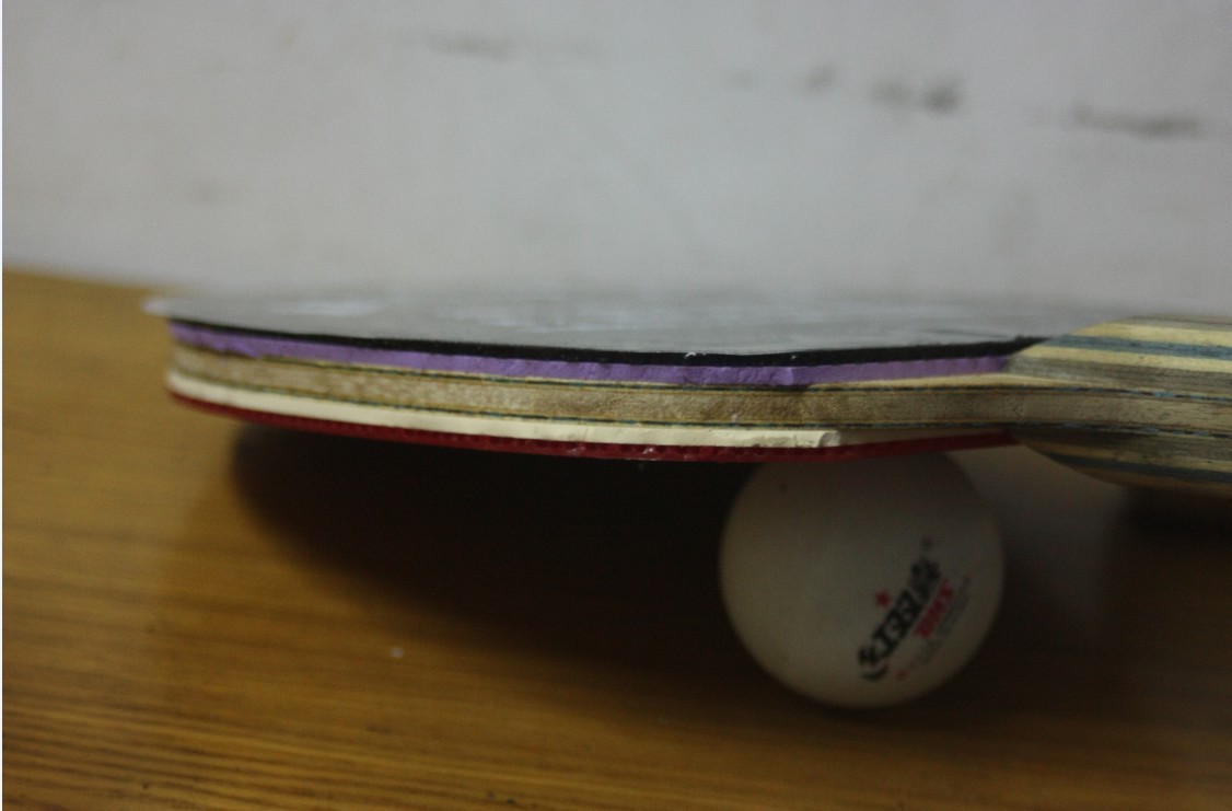 800��˳����л�˫��С������VIS