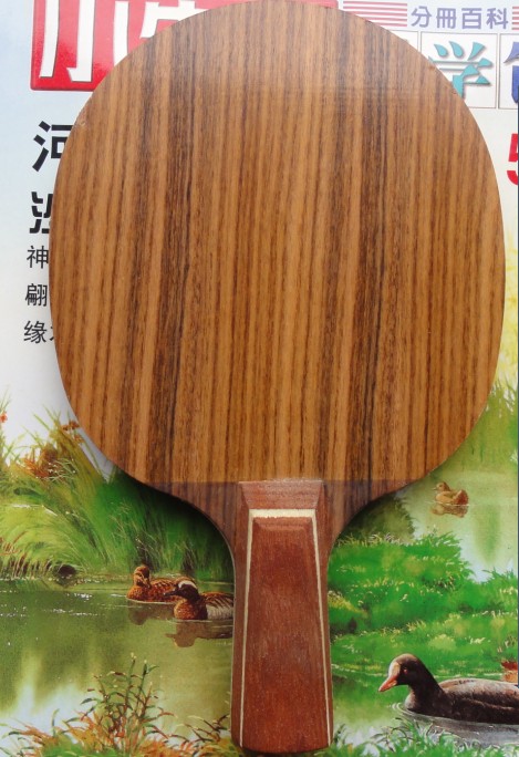 983˵лõ5۹ߣͣһ£ϵ1299826060