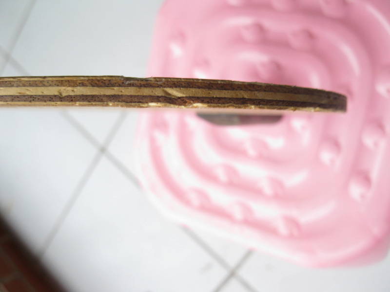 nittaku���Ǵ���רҵ��FL ludeack power�׽�rakza7