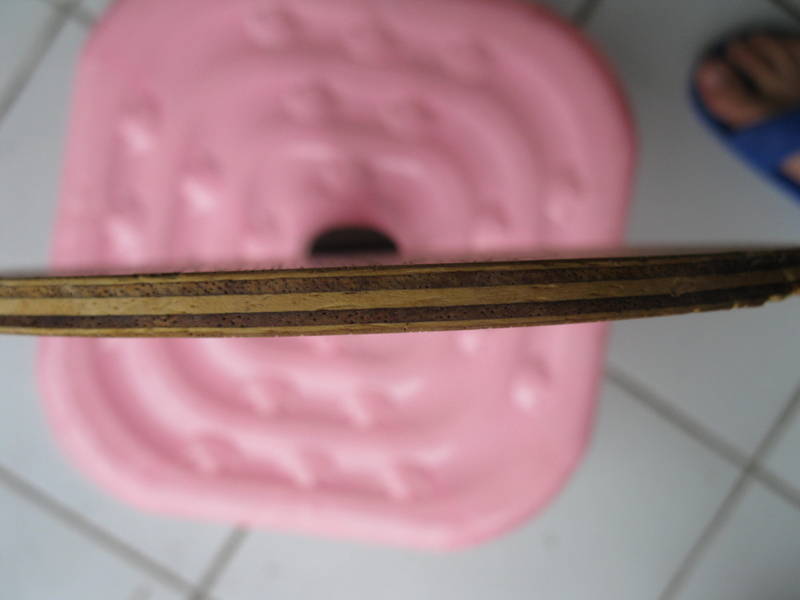 nittaku���Ǵ���רҵ��FL ludeack power�׽�rakza7