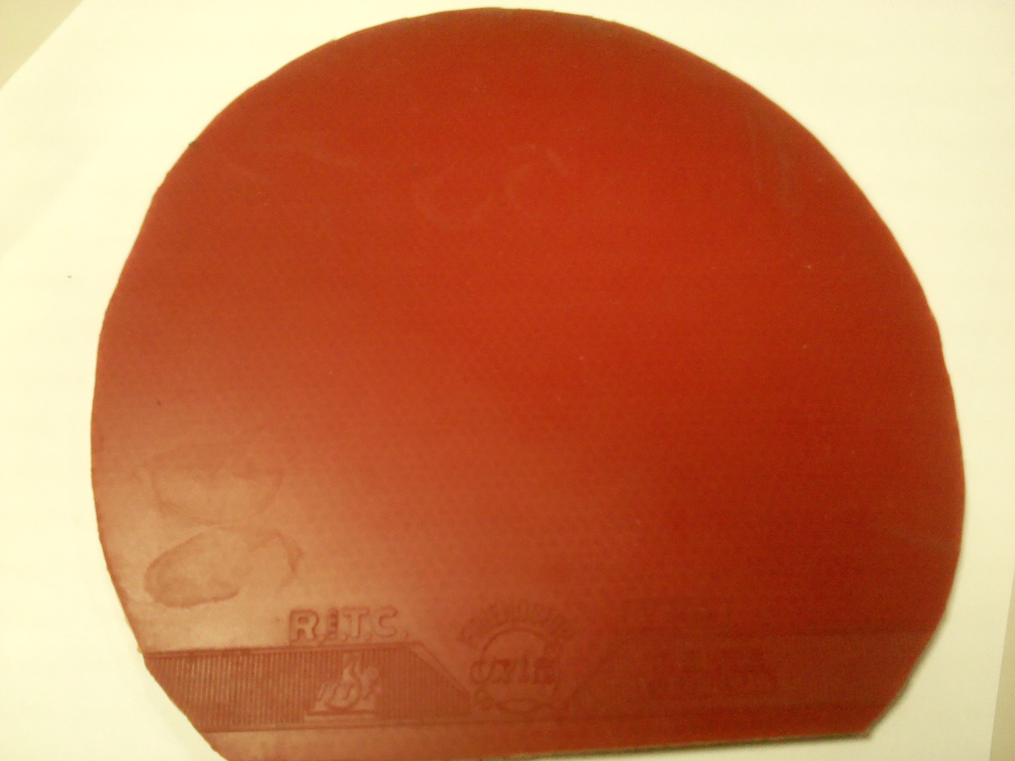 E5L293hf.jpg