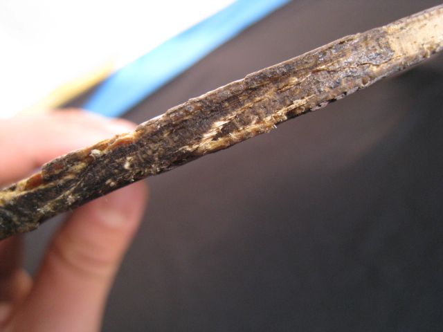 ���ջ𼶱�ֱ��oc cr