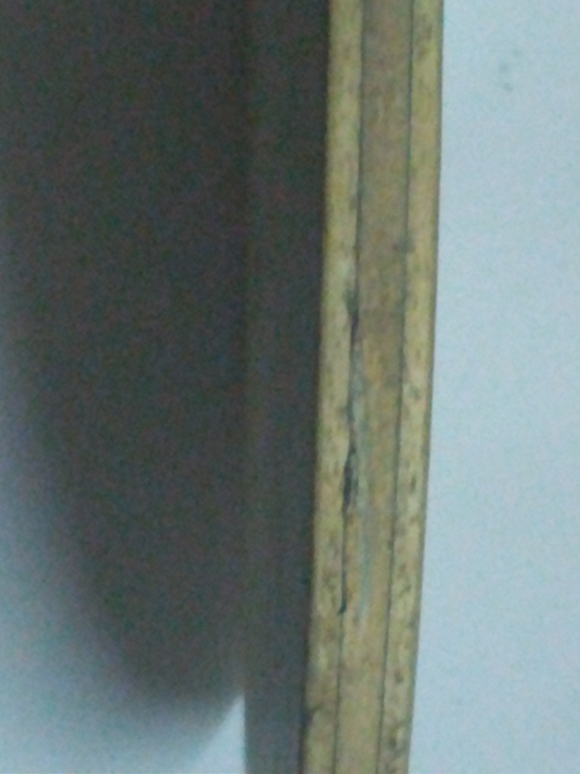 �� nittaku  ����ϼ ��39�� �տ�һ��