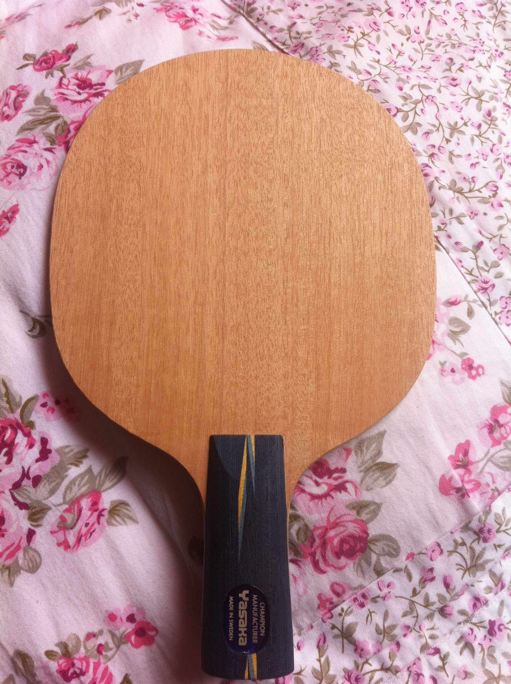 ֱ�ĺ���հ�YE9.8��