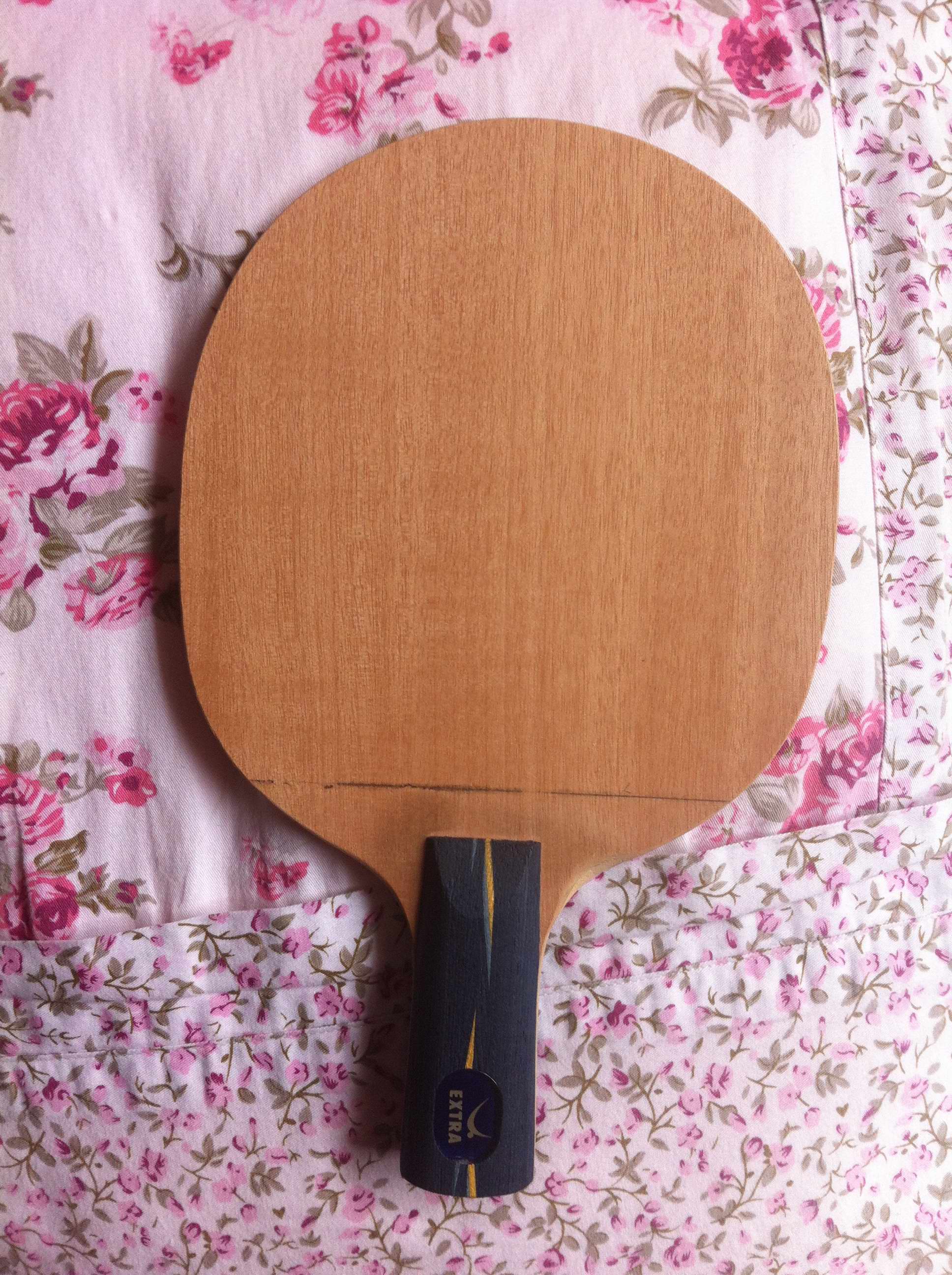 ֱ�ĺ���հ�YE9.8��