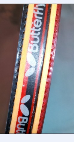 ͦ����̼��һ��    ϲ�����������ѽ�