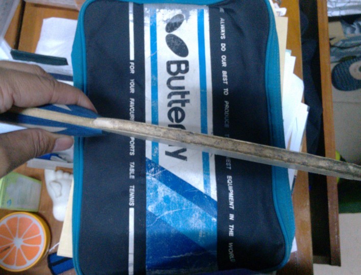 [ԭ]TIMO BOLL ZLCйʽı