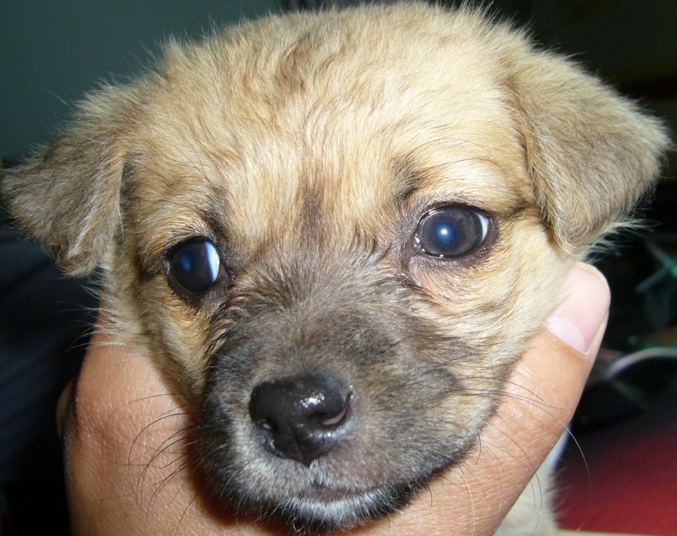 �����������ִ���st ��ͬ���ΰ���Ҳ��