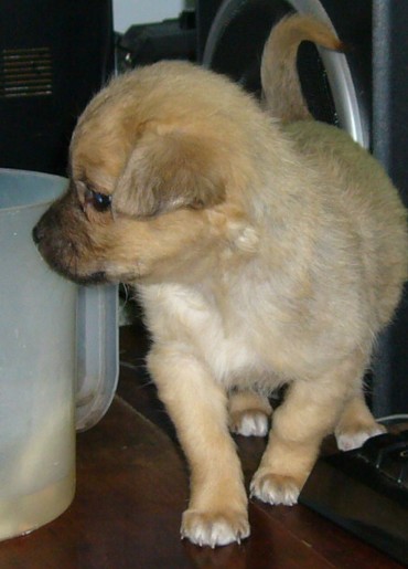 �����������ִ���st ��ͬ���ΰ���Ҳ��