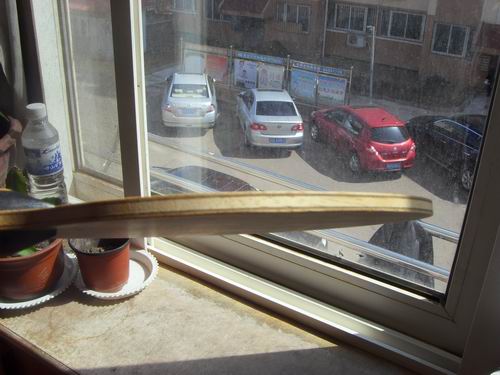 ������ZLC