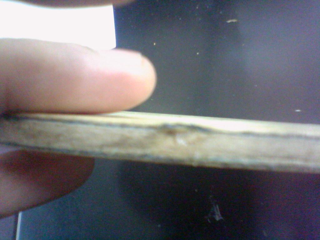 �л�ͦ�θ�����˹