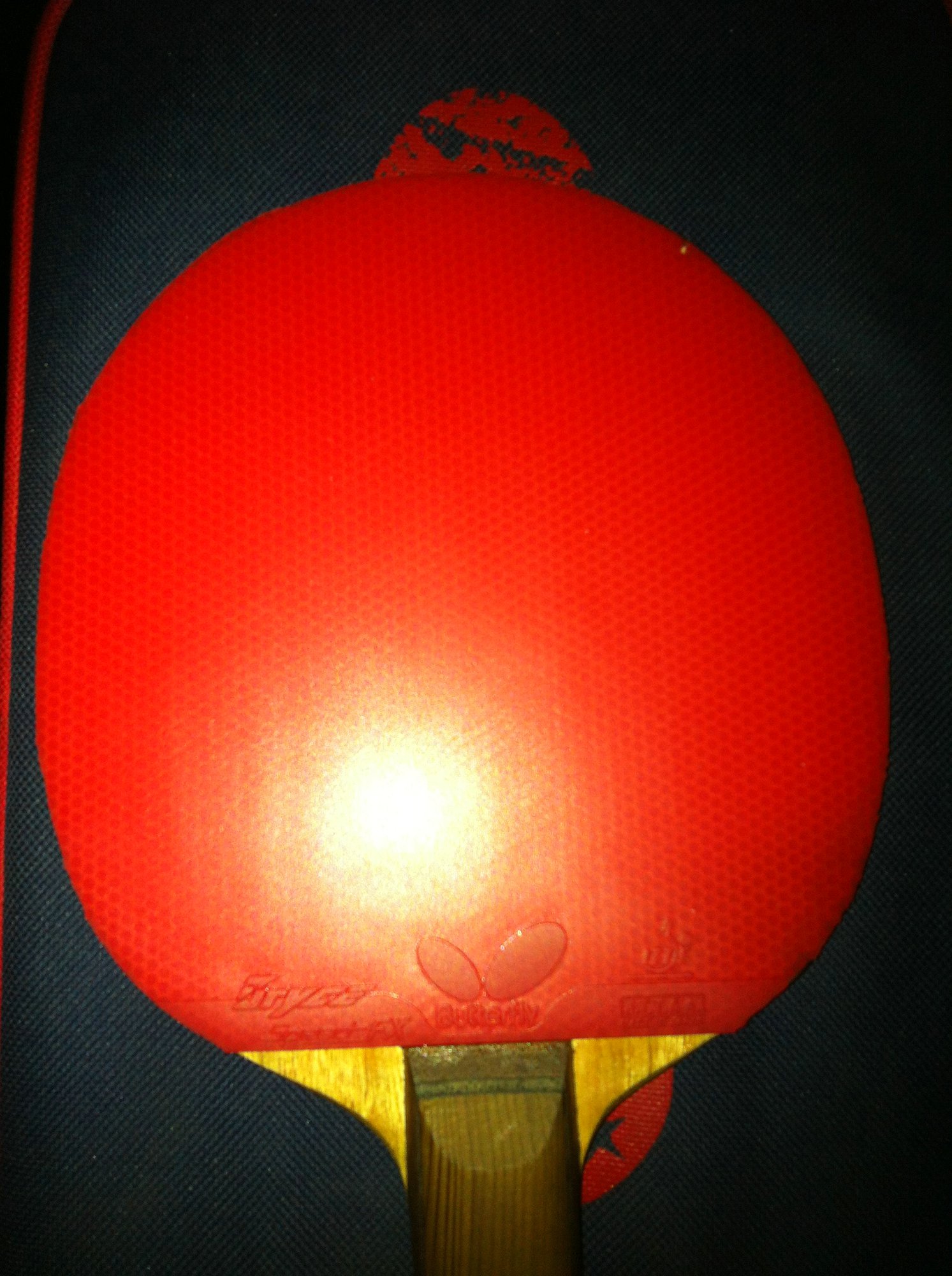 280��bryce speed fx��ʹ��һ����