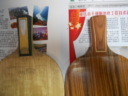 �ͼ۴����Ů����Ȩ��Inn ZLC ��꿵��䵶 õ��5 ��������ķ��� ����ŵ��