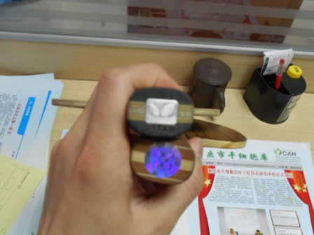 �ͼ۴����Ů����Ȩ��Inn ZLC ��꿵��䵶 õ��5 ��������ķ��� ����ŵ��