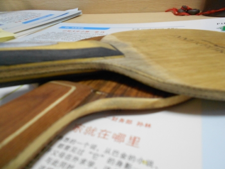 �ͼ۴����Ů����Ȩ��Inn ZLC ��꿵��䵶 õ��5 ��������ķ��� ����ŵ��