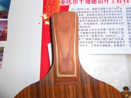 �ͼ۴����Ů����Ȩ��Inn ZLC ��꿵��䵶 õ��5 ��������ķ��� ����ŵ��