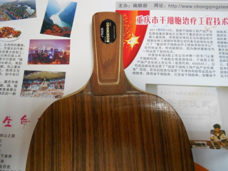 �ͼ۴����Ů����Ȩ��Inn ZLC ��꿵��䵶 õ��5 ��������ķ��� ����ŵ��