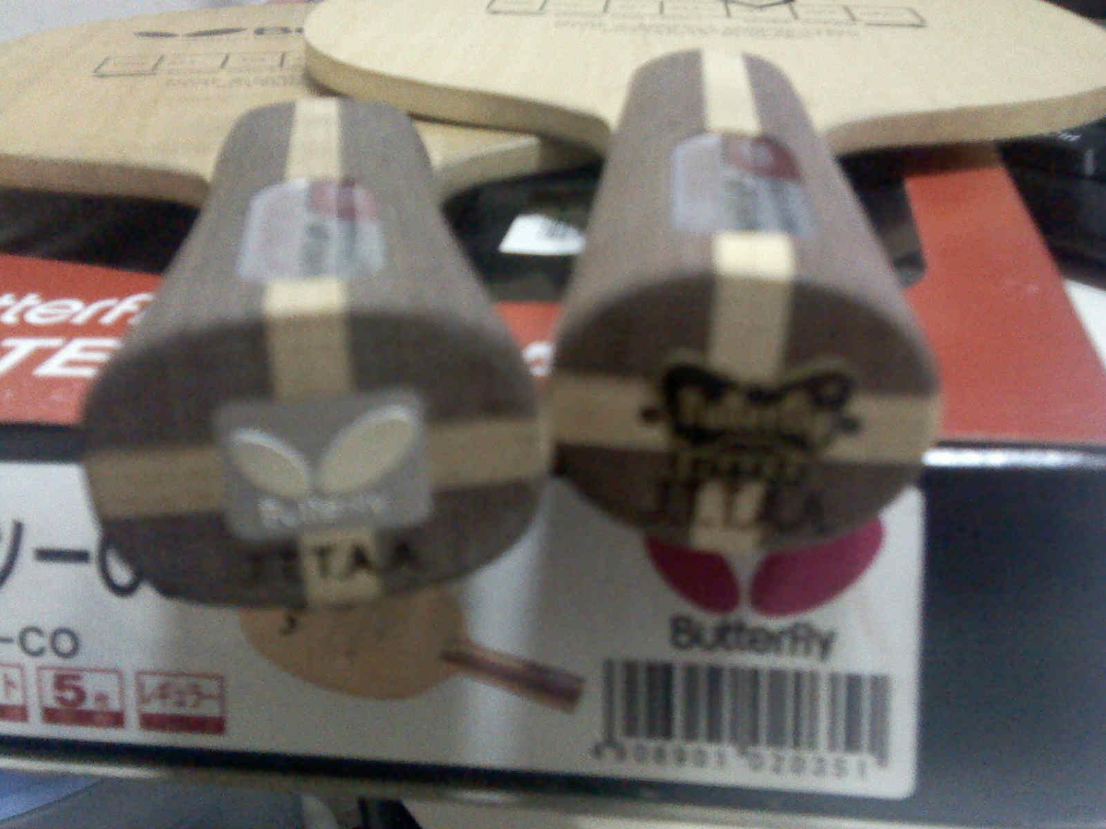 ����������ľ