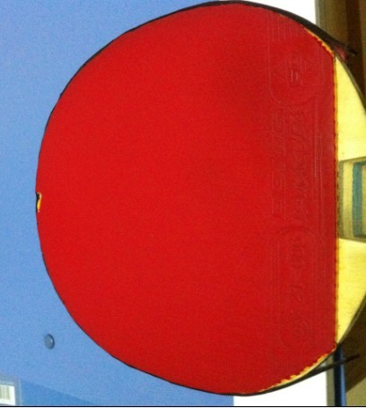 ����������2��baracuda