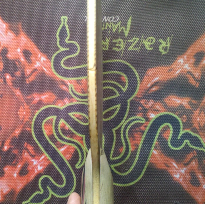 XU0uI5kX.jpg