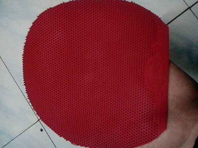 ��һ�������պ�2�������հ���TSP����