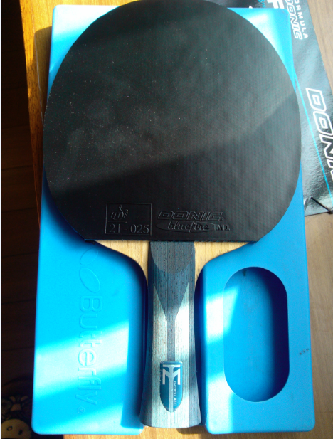 תս��Ӣ���İ�飬�����������ʵĽ��ͺ�V��������Ҷ��ָ��