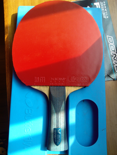 תս��Ӣ���İ�飬�����������ʵĽ��ͺ�V��������Ҷ��ָ��