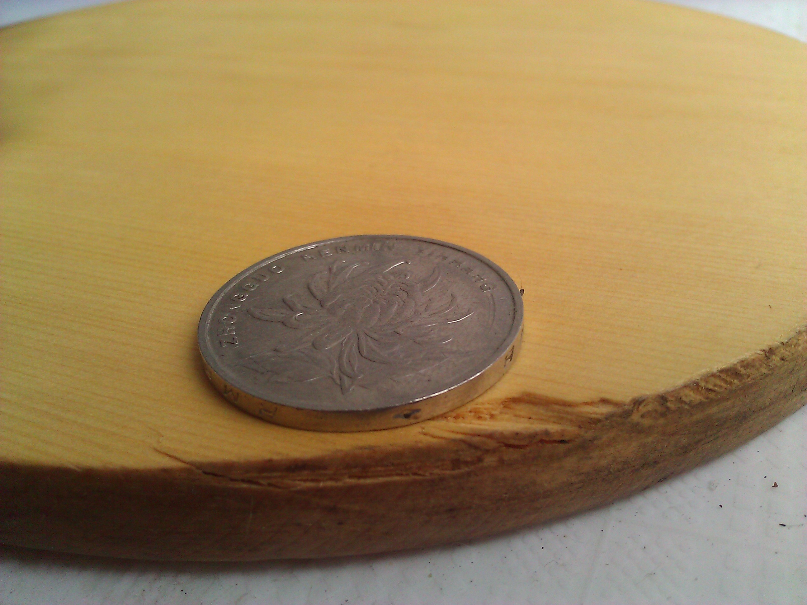 ӣ�� ����