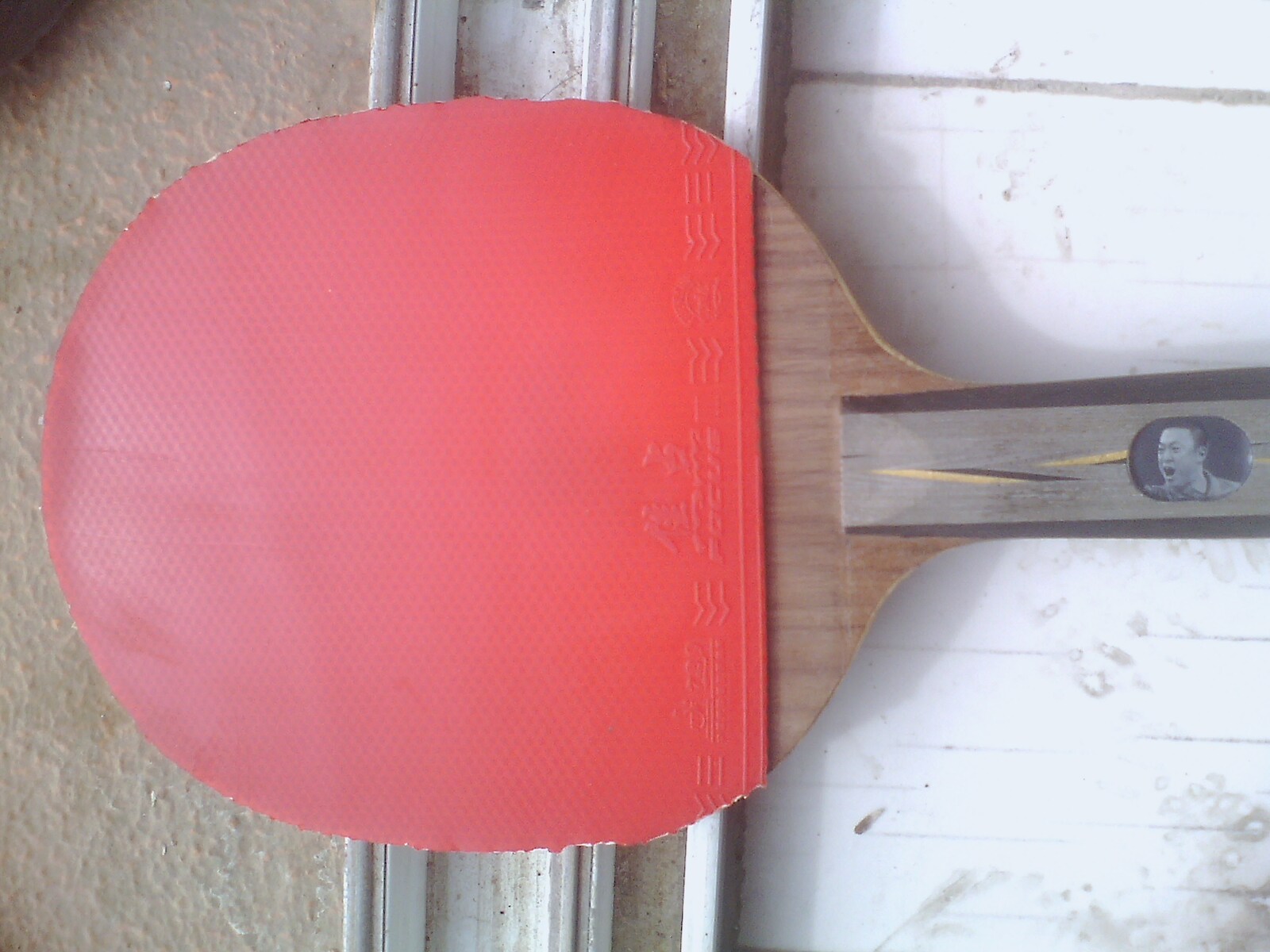 [ԭ��]���٣ţϣ�����������