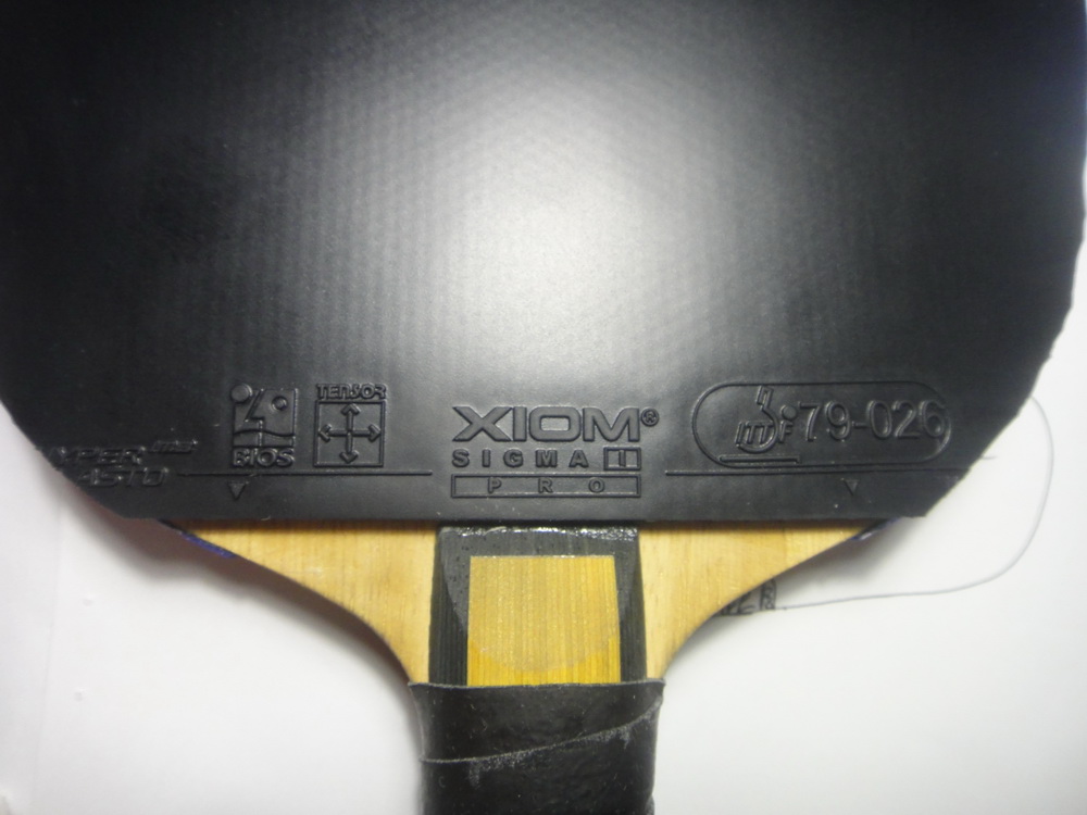 ������sigma 1����ɫ�¡�