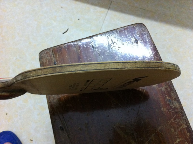 ���³�������������̼