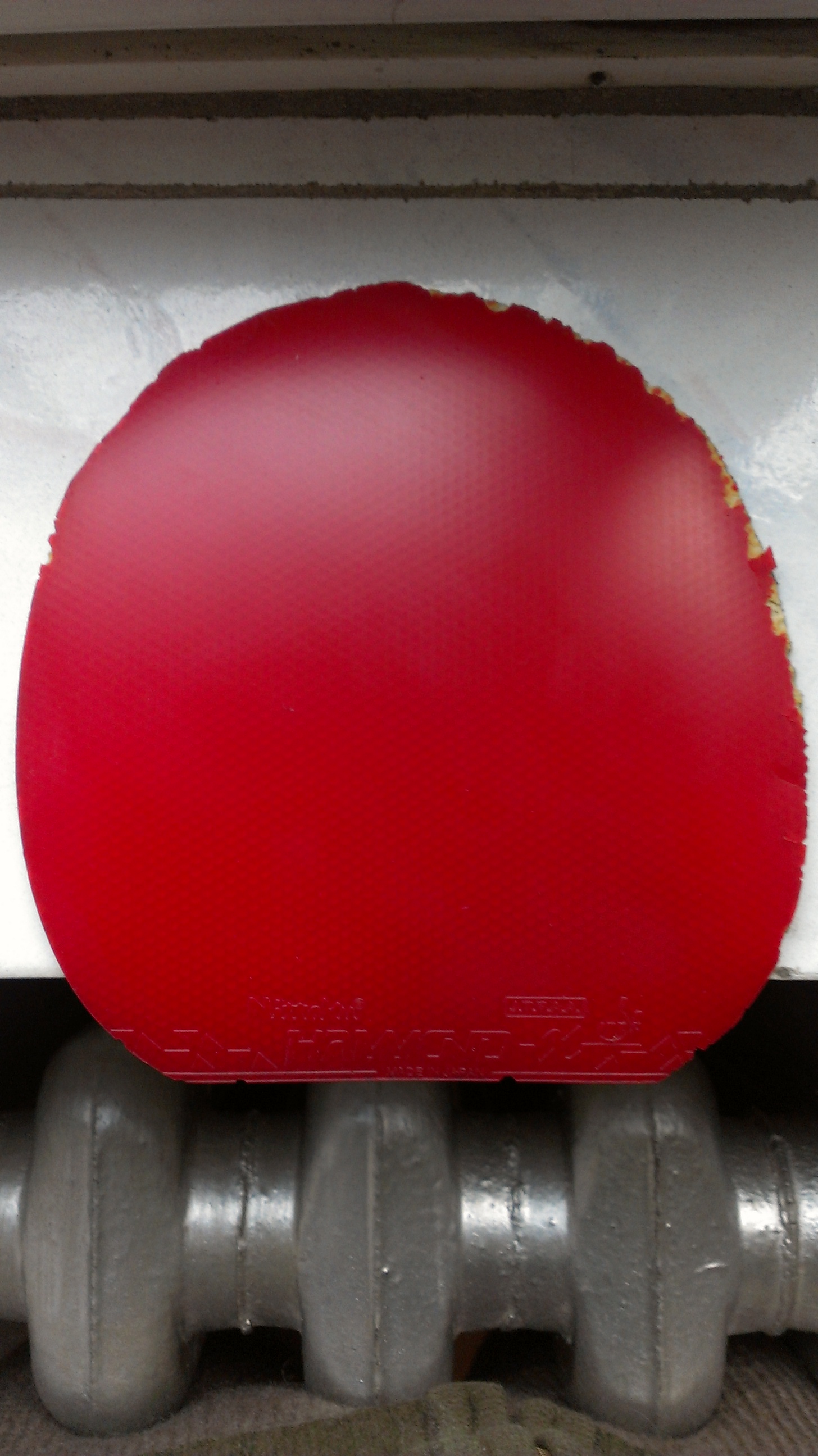 �����ý�Ƥ С���� R7 ��V �쳵 ����X�� �ײ˼۸�