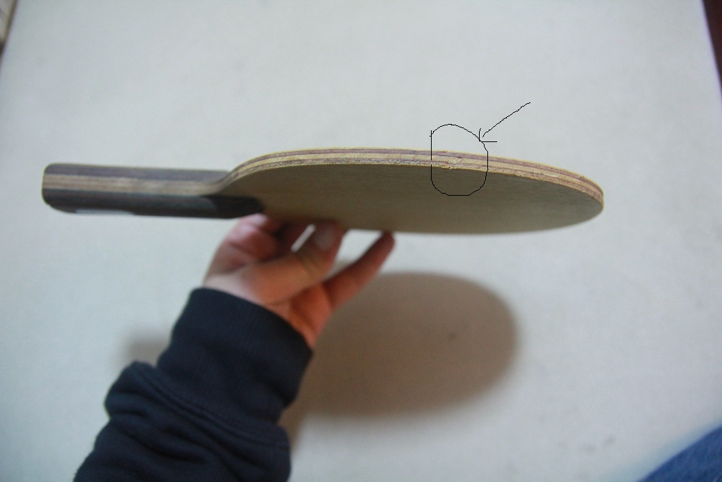 ��8����NITTAKU������ ludeack power������FL